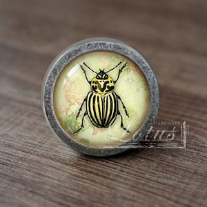 May include: A round, silver-toned cabinet knob with a glass insert featuring a yellow and black beetle on a floral background.