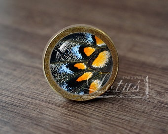 Butterfly Wing —Handmade Vintage Antique Drawer Knobs Pulls Handles/Dresser Knobs Cabinet Pull handles / Furniture Hardware