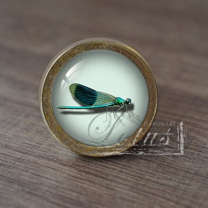 May include: A round, brass-colored cabinet knob with a glass insert featuring a blue and green dragonfly.