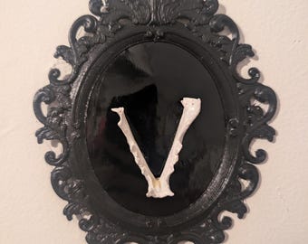 OOAK Framed Vegan CAT JAW Mount ~ Horror, Gothic, Goth, Gothic Art, 3D Wall Hanging, Wall Art, Home Decor, Bone Art, Bone Replica, Jaw Bone
