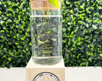 Propagation Station, Plant Propagating Station, Boho Propagation Station, Plant Lover Gift Idea, Plant Prop Station, Minimalist Prop Station