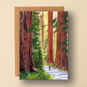 Riesige Redwoods illustrierte Karte