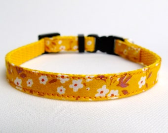 extra small kitten collar