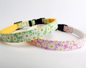 daisy cat collar