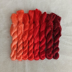 Silk thread sets 8 skeins | hand-dyed silk | 100% fine natural mulberry silk | embroidery silk floss| For hand embroidery cross stitch #42