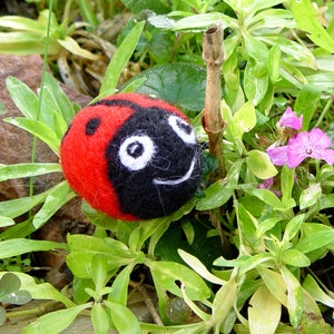 little Ladybug wool image 1