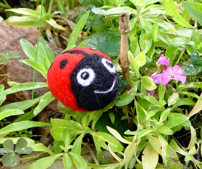 little Ladybug wool image 1