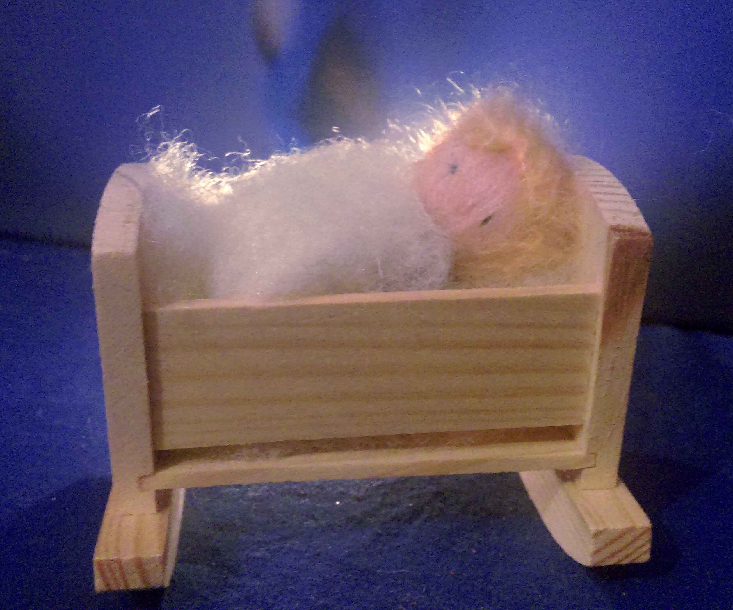 Petits Enfants en Laine