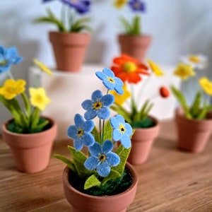 Può includere: Una collezione di fiori in feltro fatti a mano in piccoli vasi di terracotta. I fiori sono in vari colori, tra cui blu, giallo e arancione, con foglie verdi. I vasi sono disposti su una superficie di legno, creando una scena affascinante.