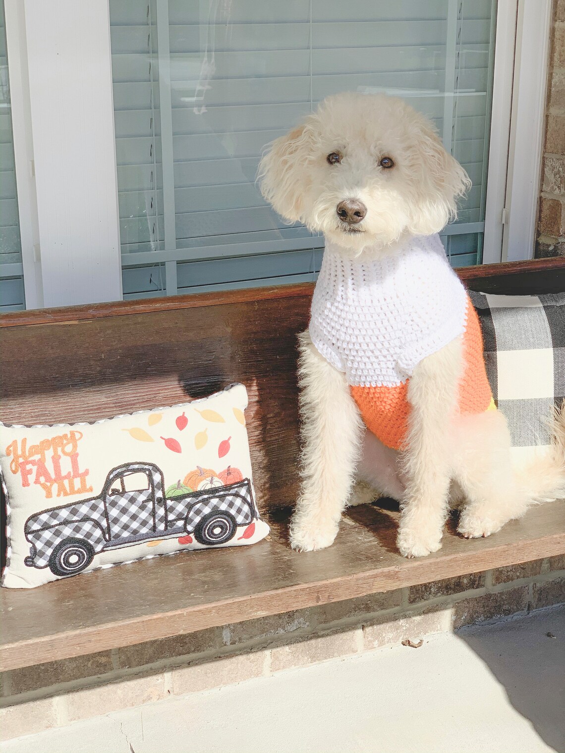 Candy corn dog costumedog sweater dog costume dog vest Etsy