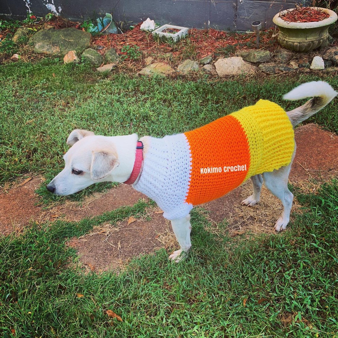 Dog Candy Corn Costume
 Candy corn dog costumedog sweater dog costume dog vest