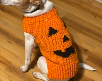 pumpkin sweater for dogs