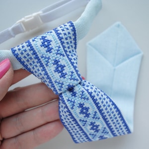 Pre tied Embroidered tie Ukrainian folk art Baby necktie Ethnic kid clothing Hand cross stitch