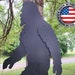 see more listings in the Bigfoot Displays section