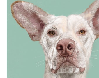 Pet Portrait, Ideal Gift for Christmas, Birthdays, Mother’s and Father’s Day.