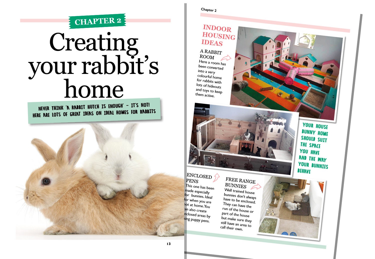 The Best4bunny Handbook Rabbit care guide for old & new Etsy