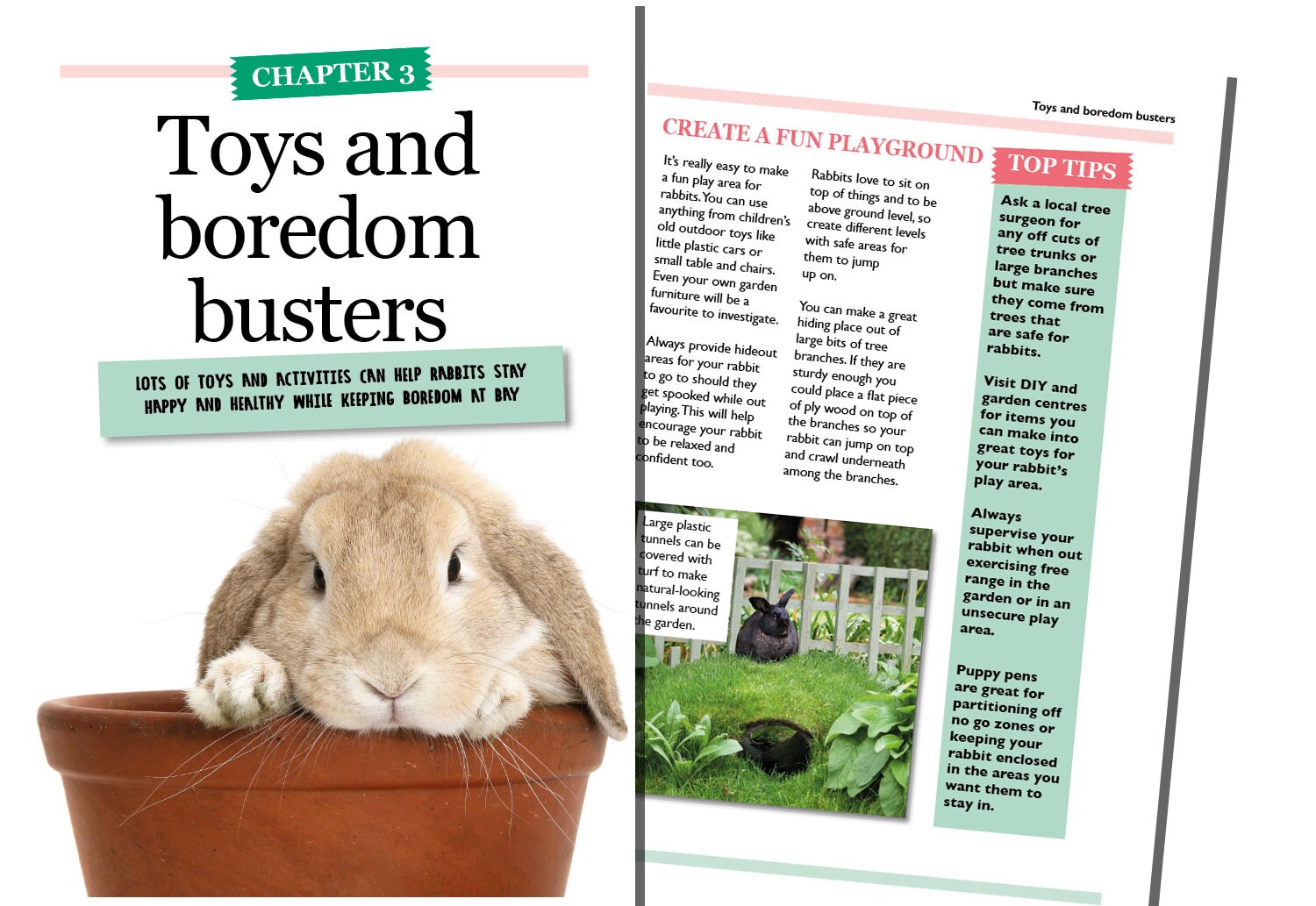 The Best4bunny Handbook Rabbit care guide for old & new Etsy