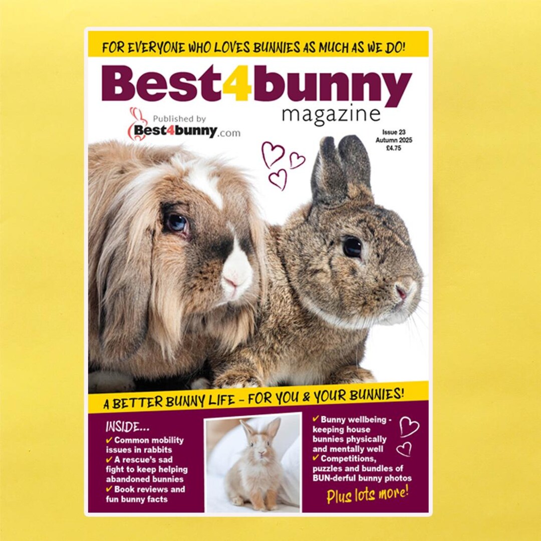 Issue 23 Best4bunny Magazine Autumn 2025 Pet Rabbit Magazine - Etsy
