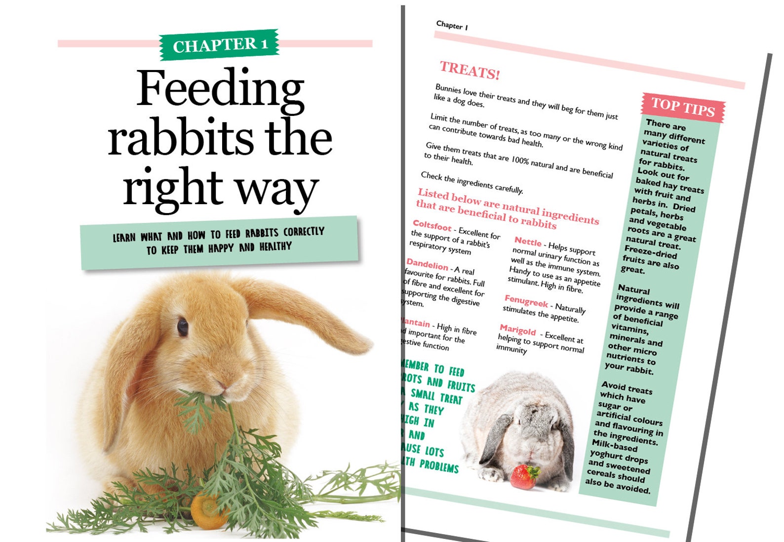 The Best4bunny Handbook Rabbit care guide for old & new Etsy