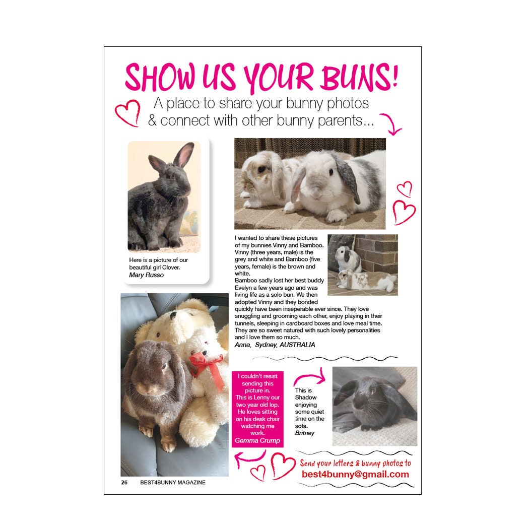 Issue 13 Best4bunny Magazines Spring 2023 Etsy