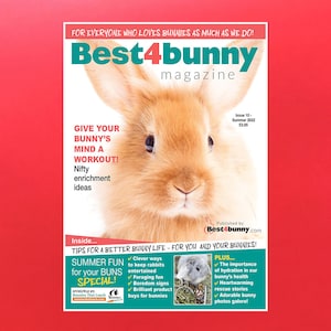 Numéro 10 Best4bunny Magazine Été 2022
