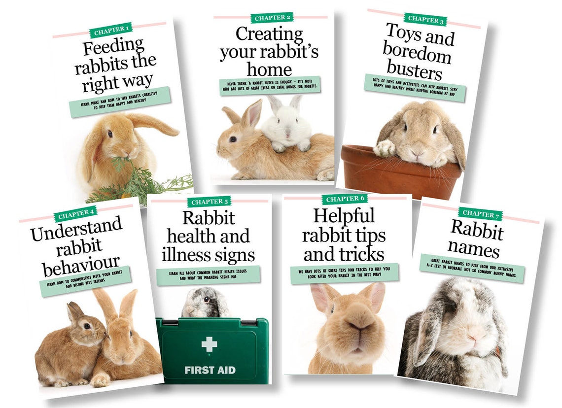The Best4bunny Handbook Rabbit care guide for old & new Etsy
