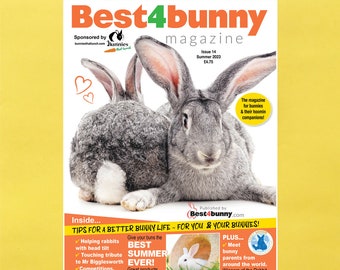 Issue 14 Best4bunny Magazine summer 2023 issue