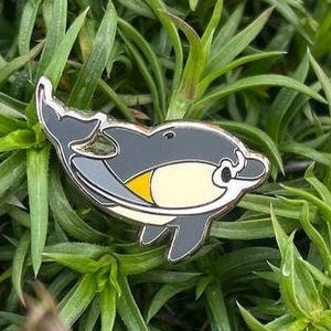 Common Dolphin Pin - Hard Enamel Pin - 1 inch