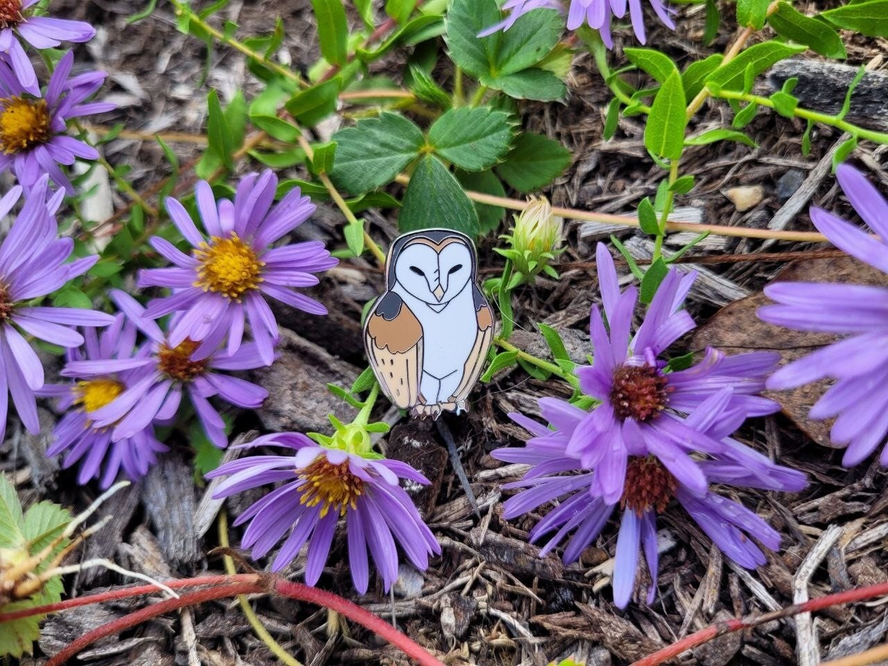 Barn Owl - Hard Enamel Pin - 1 inch