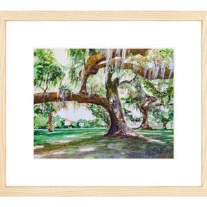 Audubon Park Art Live Oak Trees Digital Art Download, New Orleans Gift Digital Artwork, Digital Image Download NOLA Art Image, DIY Art Print