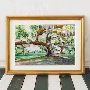 Audubon Park Live Oak Trees Watercolor Art Print: New Orleans Wall Decor