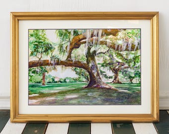 Audubon Park Live Oak Trees Watercolor Art Print: New Orleans Wall Decor
