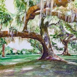 Audubon Park Live Oak Trees Art Print - Perfect New Orleans Gift - New Orleans Wall Decor, Watercolor NOLA Drawing Art Print