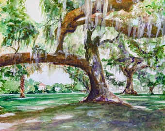 Audubon Park Live Oak Trees Art Print - Perfect New Orleans Cadeau - New Orleans Wall Decor, Aquarel NOLA Tekening Art Print