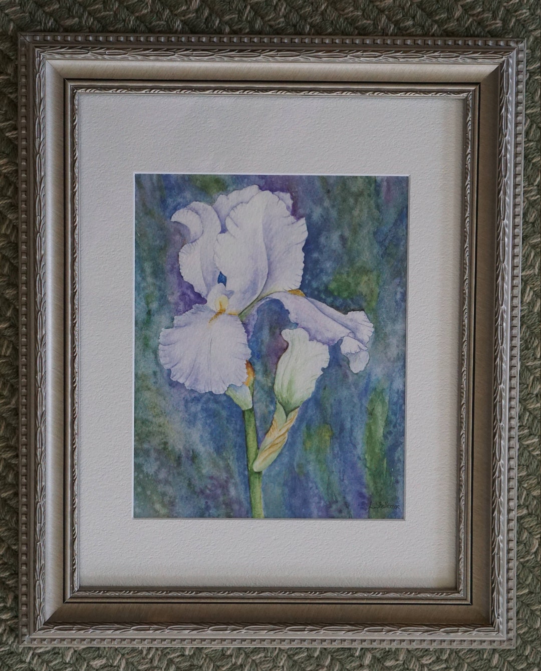 Bearded Iris Watercolor Giclee Print, Floral Watercolor - Etsy