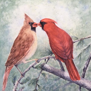 Cardinals, pair, male and female, professional giclee prints, song birds, male cardinal feeding his mate