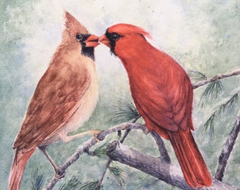 Cardinals, pair, male and female, professional giclee prints, song birds, male cardinal feeding his mate