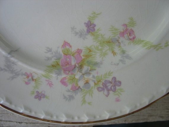 Vintage Thematic By Crooksville China Spring Blossom 941 By Crooksville China Spring Blossom 941, Big Apple Storage Crooksville Ohio