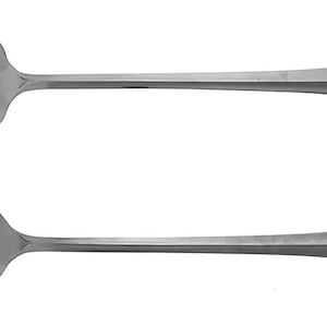 May include: A set of two silver serving spoons. One spoon has a slotted bowl and the other has a solid bowl. Both spoons have a decorative handle.