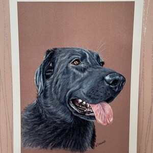 Shadow - Art Print- Black Labrador - Labrador - Dog - Black Dog - Gift - Artwork - Original Art - Pet Portrait - Dog Portrait - Retriever