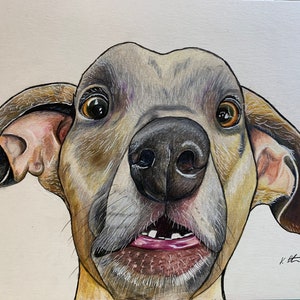 May include: A detailed pencil drawing of a dog's face. The dog has brown and black fur, large brown eyes, and a pink tongue sticking out. The dog is looking directly at the viewer with a surprised expression.
