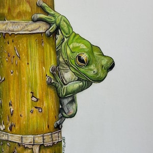 La rana arbórea amistosa - Impresión artística - Regalo - Obra de arte - Arte original - Retrato de mascota - Rana - Rana arbórea - Obra de arte de Kay Stewart