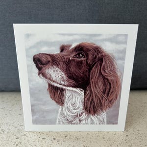 Biglietto d'auguri, Biglietto di compleanno, Festa del papà, Festa della mamma, Nuovo lavoro, Congratulazioni, Cane, Biglietto divertente, Biglietto carino, Springer, Spaniel