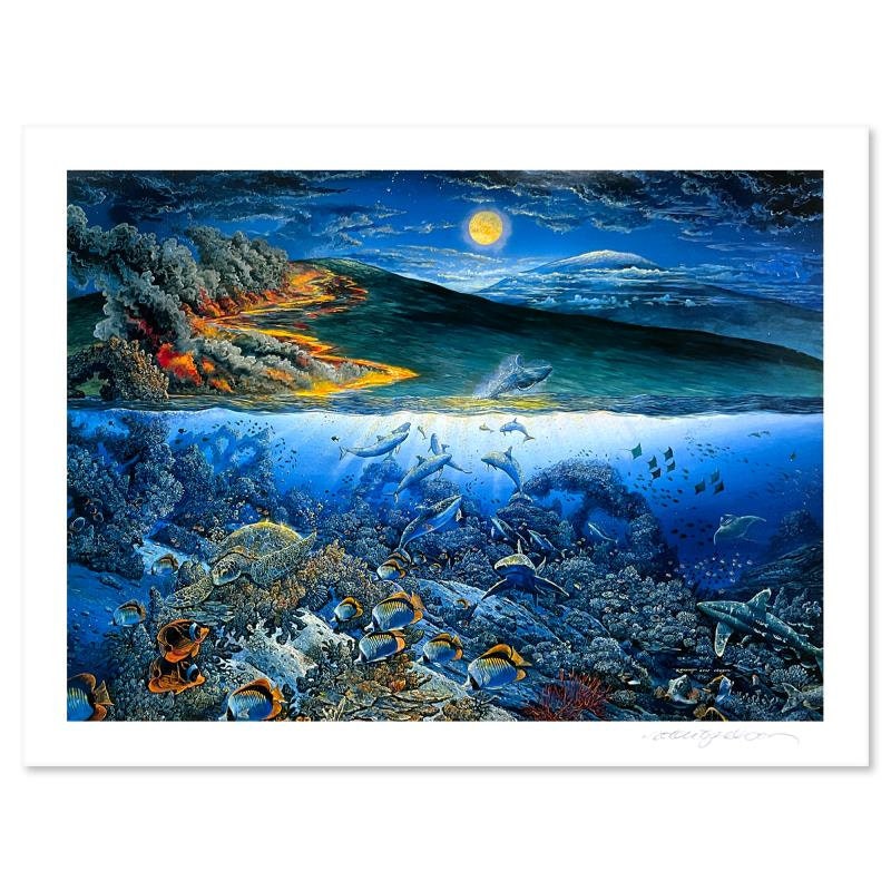 ロバート・リン・ネルソン インディアンス・マイン・オー・エクスプレイン Robert Lyn Nelson HAND SIGNED Undersea Song Cherish our land