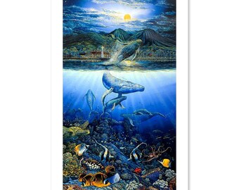 Cherish Our Land & Sea: Robert Lyn Nelson - Discovery off Anahola