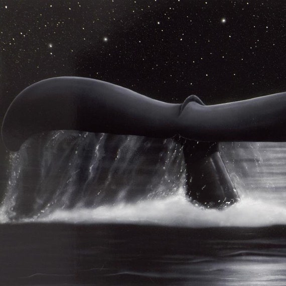 Wyland Sea of Stars Lithograph: Signed Limited Edition Whale Tail