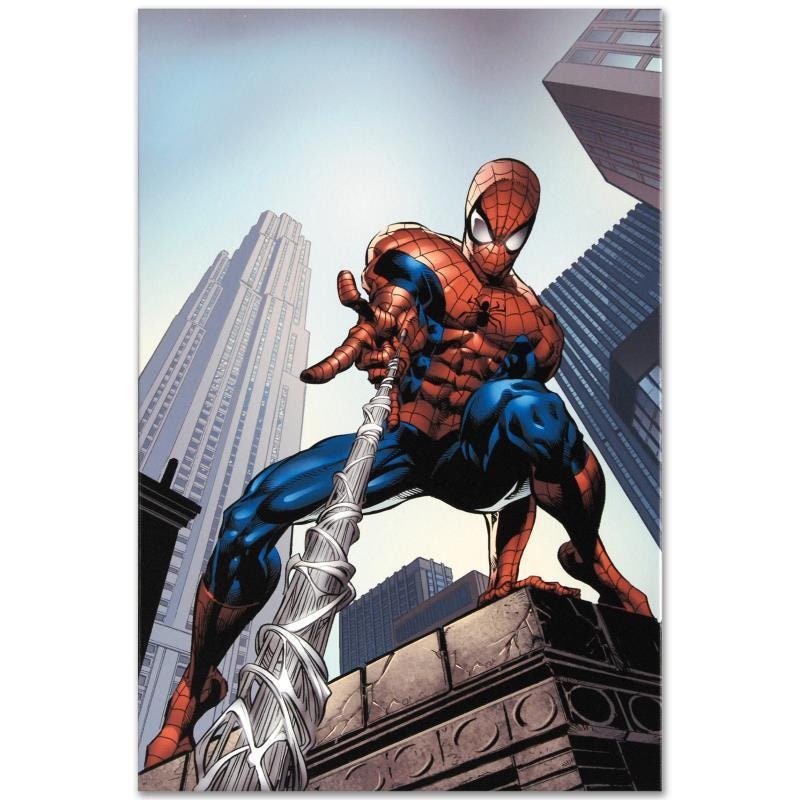 【即購入OK】Amazingスパイダーマン全世界500部限定 アートプリント Spider-man #520 Giclee Canvas Art by Mike Deodato Jr. - Limited
