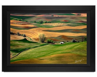 Jongas "Countryside" Framed Canvas Photograph: Limited Edition Signed Print