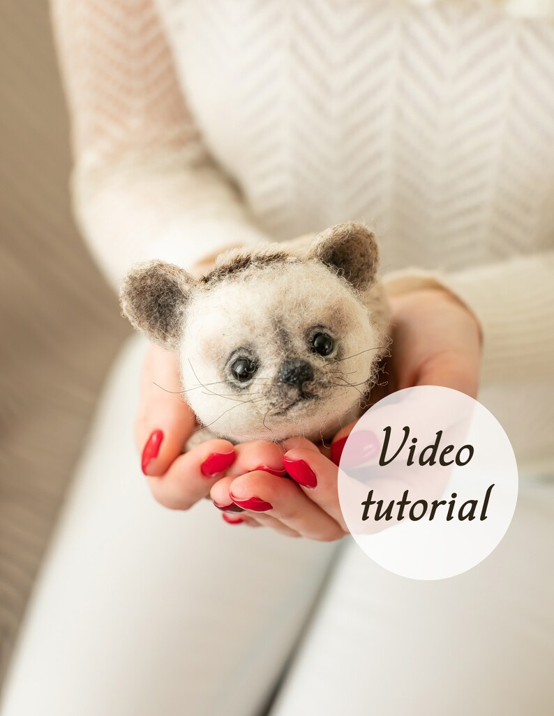 Tutorial Hedgehog Needle Felting Felted Wool for Beginners Etsy