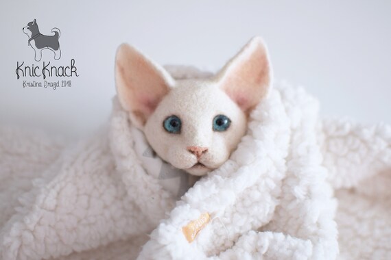 Igła Filcowana Broszka Z Wełny Devon Rex Biały Kot Twarz Etsy